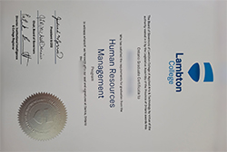  Buy A Lambton College Fake Diploma.