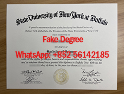 The fake University at Buffalo diploma yo