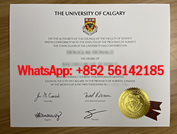 Free University of Calgary diploma sample