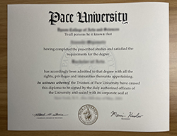 补办佩斯大学学位证书。Pace Uni