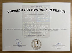 Are UNYP Degree Certificates Purchased On