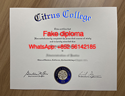 Buy a fake Associate Degree from Citrus C