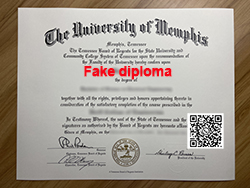 Duplicate paper diploma from University o
