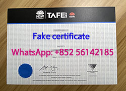 Apply for a fake TAFE NSW diploma