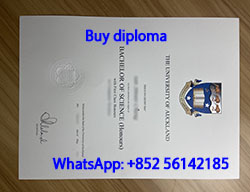 Fake University of Auckland diploma for s